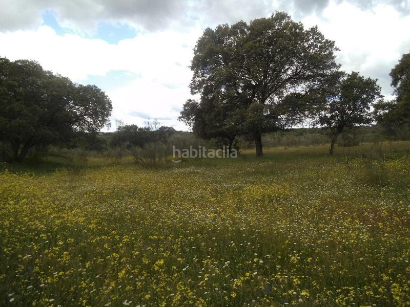 Foto e85ed433-58b9-46e6-ae95-782e9332da2c. Terreny residencial a Valdemorillo pueblo Valdemorillo