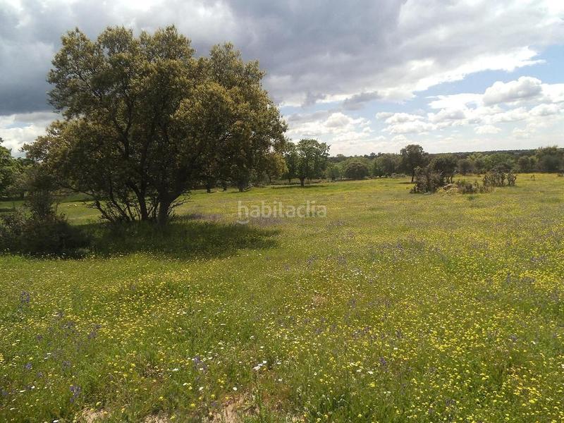 Foto e8fafd0a-c3c5-4204-98a3-405885a71c1d. Terreny residencial a Valdemorillo pueblo Valdemorillo