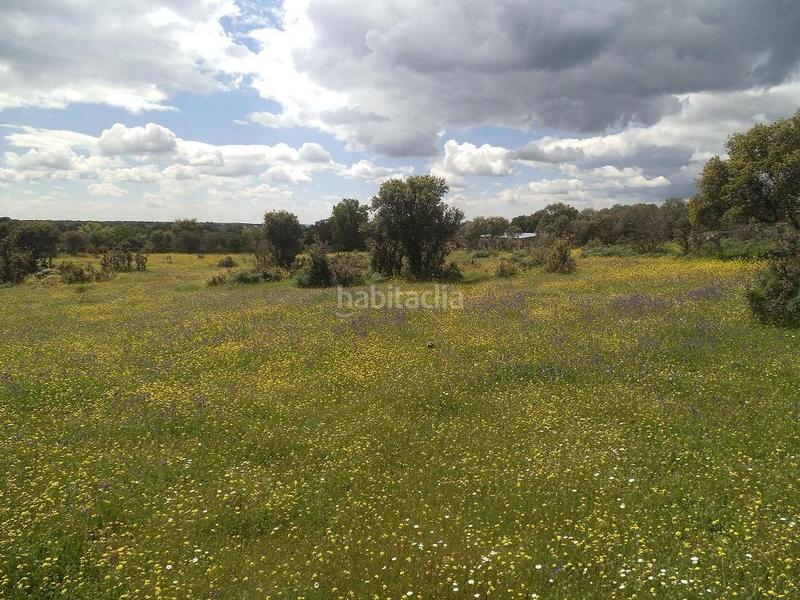 Foto e94f56d6-2cac-4a0d-84bd-c9e691355283. Terreny residencial a Valdemorillo pueblo Valdemorillo