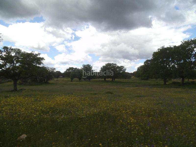 Foto eb673f56-7d45-4e7f-a4a8-50359f6883b1. Terreny residencial a Valdemorillo pueblo Valdemorillo