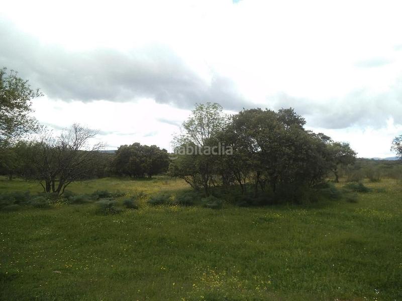 Foto f2504119-64c2-48bb-b49e-41b864f11c82. Terreny residencial a Valdemorillo pueblo Valdemorillo