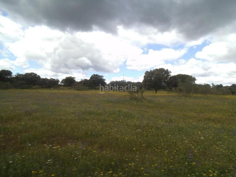 Foto f57aba8e-6daf-42c7-8bff-97388801dc9c. Terreny residencial a Valdemorillo pueblo Valdemorillo