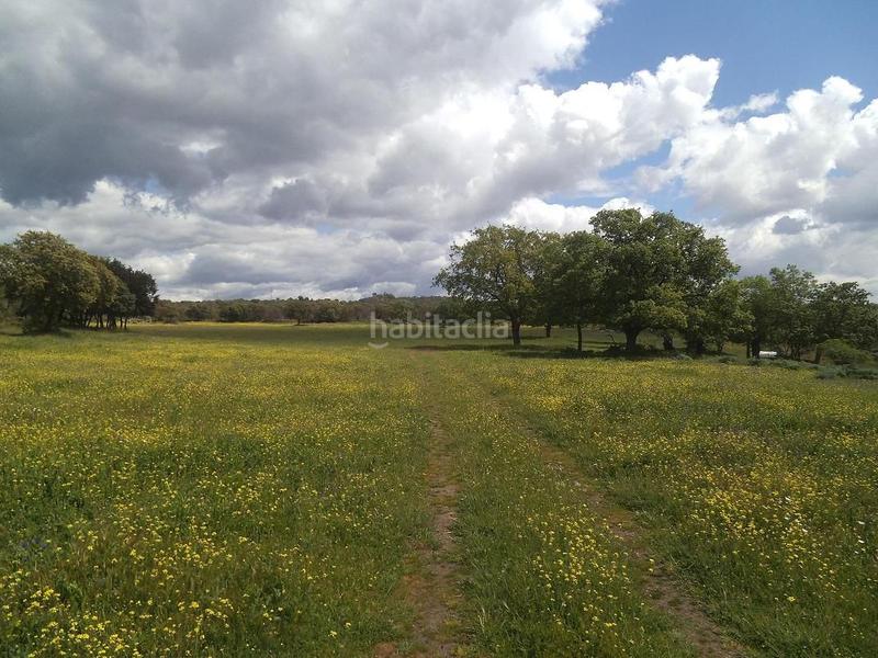 Foto f5f51a3e-a8f0-4737-ac73-9581888df1d2. Terreny residencial a Valdemorillo pueblo Valdemorillo