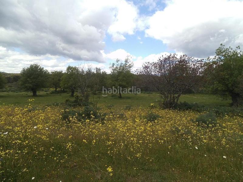 Foto f8d3a702-be9a-4744-9beb-95e870664e0e. Terreny residencial a Valdemorillo pueblo Valdemorillo