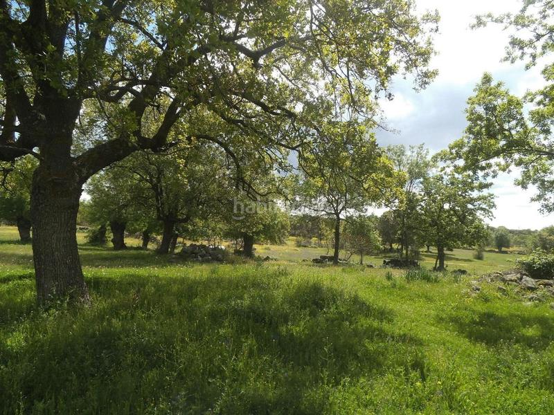 Foto ffc07385-01d3-4f44-b234-a6320f1eb320. Terreny residencial a Valdemorillo pueblo Valdemorillo