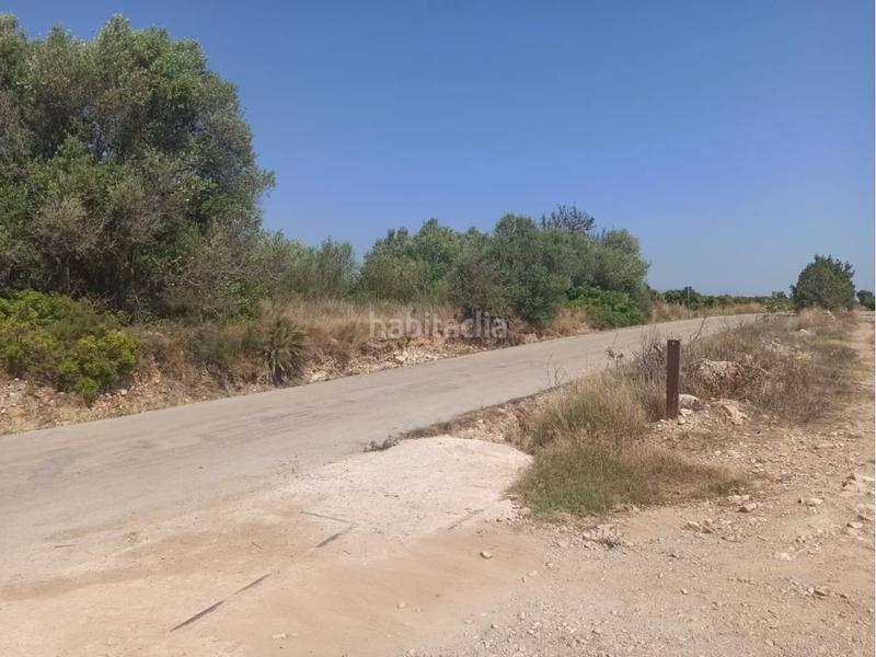 Foto 0c718212-9670-4cb5-91ad-29d052e8423b. Propriété dans Centro Comercial - Capsades - Hospital Vinaròs