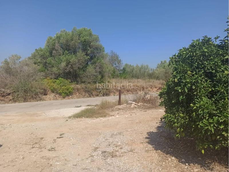 Foto 41d4e75e-466e-4ec8-9769-b70cac78b208. Propriété dans Centro Comercial - Capsades - Hospital Vinaròs