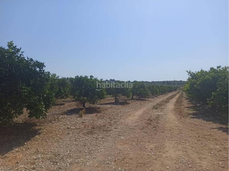 Foto 6b7351ea-7acb-493c-af3e-f51daeaad814. Propriété dans Centro Comercial - Capsades - Hospital Vinaròs