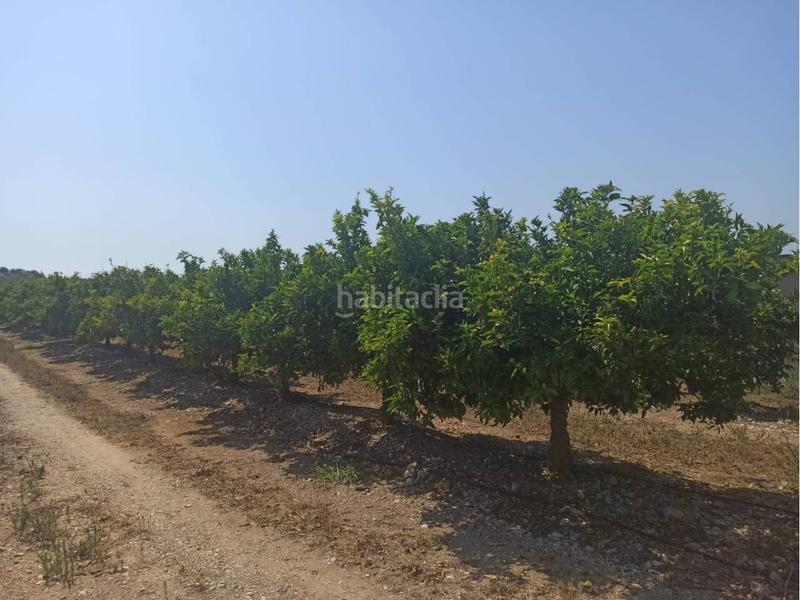 Foto 6fe32f39-3422-426b-8243-d66e3b2801e7. Propriété dans Centro Comercial - Capsades - Hospital Vinaròs