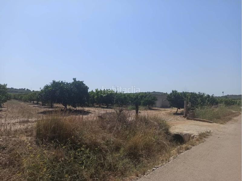 Foto 77c2f05c-b184-4a1d-b8c8-171a64dd5920. Propriété dans Centro Comercial - Capsades - Hospital Vinaròs