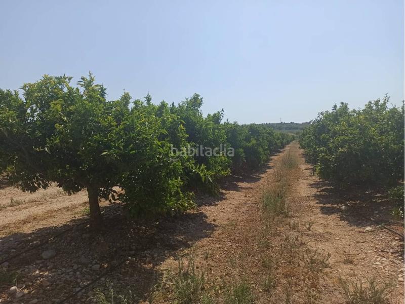 Foto a31a7cd5-5feb-4d53-bc25-9cd5b9f477f1. Propriété dans Centro Comercial - Capsades - Hospital Vinaròs