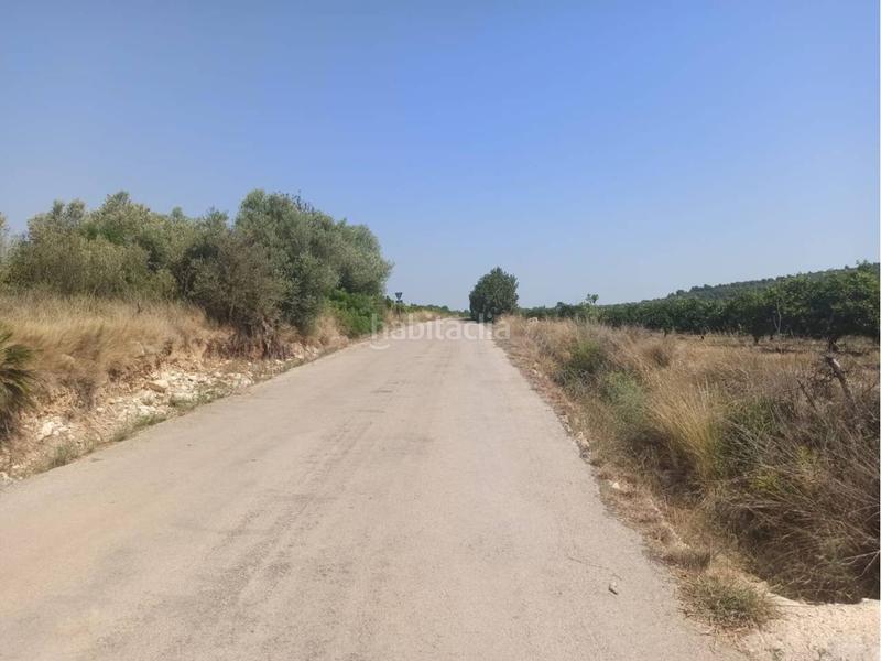 Foto ce87a702-c8a7-4f2c-97f6-2d9b8f6fa920. Propriété dans Centro Comercial - Capsades - Hospital Vinaròs