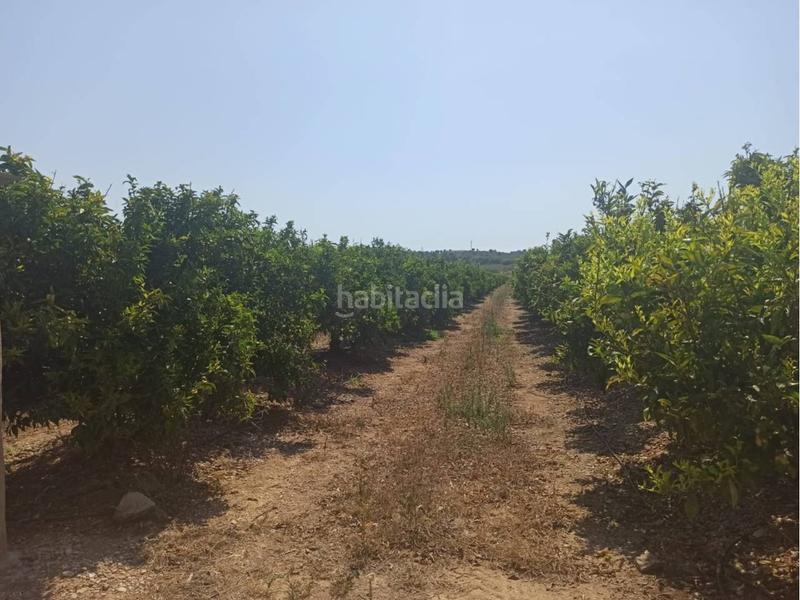 Foto d23a51f8-00d0-4ec3-8d5a-5895684d2609. Propriété dans Centro Comercial - Capsades - Hospital Vinaròs