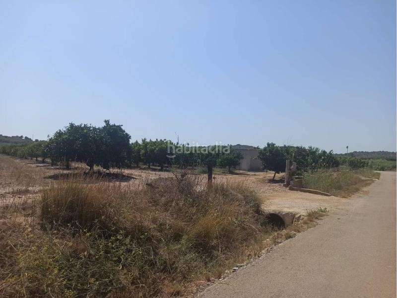 Foto d91c5a7d-fcad-4978-b989-b93e43b8ed1e. Propriété dans Centro Comercial - Capsades - Hospital Vinaròs