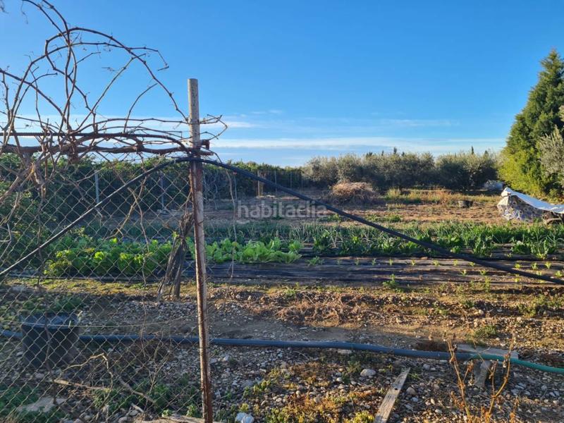 Foto 3c5746cf-afdd-4bb1-a6e4-c52fa0a33981. Finca rústica a Casco Urbano Vinaròs