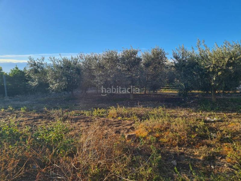 Foto 571f80c6-9b88-475d-bff1-1d78fcd41f33. Finca rústica a Casco Urbano Vinaròs