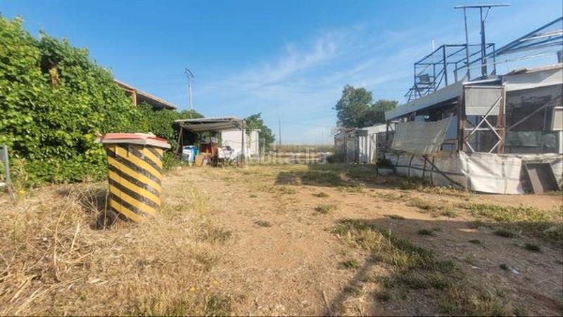 Foto ffe50442-4a48-437f-b34b-475ec8b4f498. Fondo rustico in Espartales Alcalá de Henares