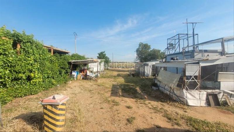 Foto ccf103ec-a0d5-41fd-90d8-7633ce1d73bc. Propriété dans Espartales Alcalá de Henares