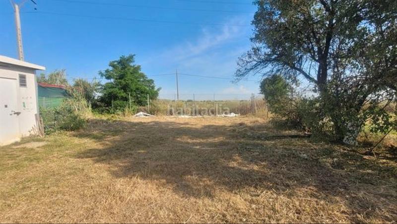 Foto cd42a296-8e36-42ed-84ee-82b75a1806f4. Finca rústica a Espartales Alcalá de Henares