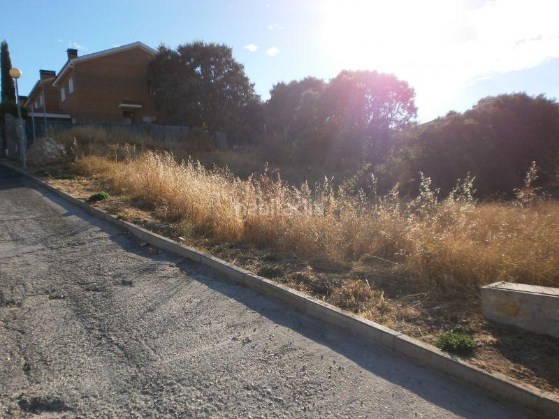 Foto e0cc0c4a-b1f1-4361-9d6d-dd6568ba71f9. Terrain résidentiel dans Pioz