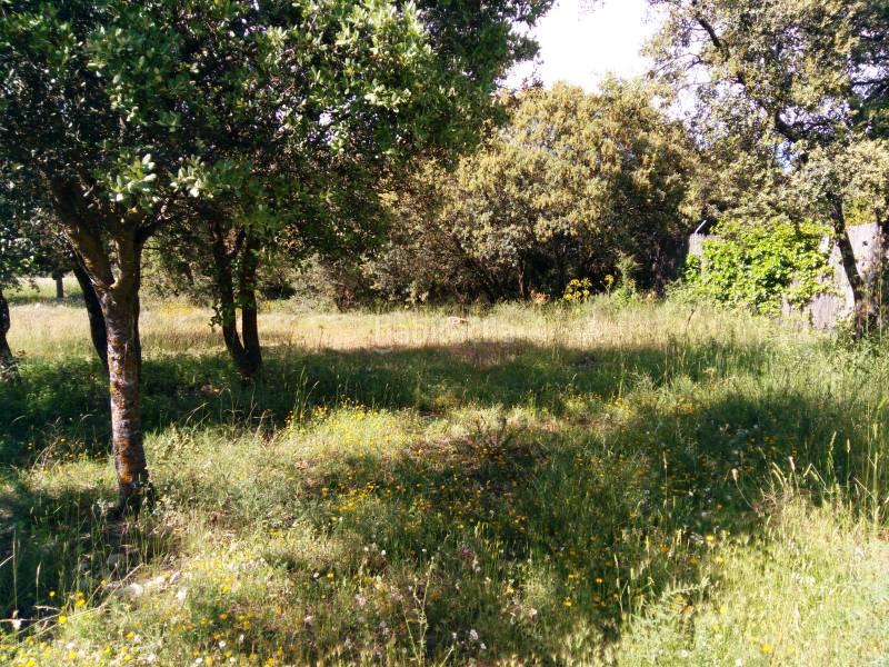 Foto 237f1b73-395f-4723-bafd-5537d89ca177. Terrain résidentiel dans Pioz