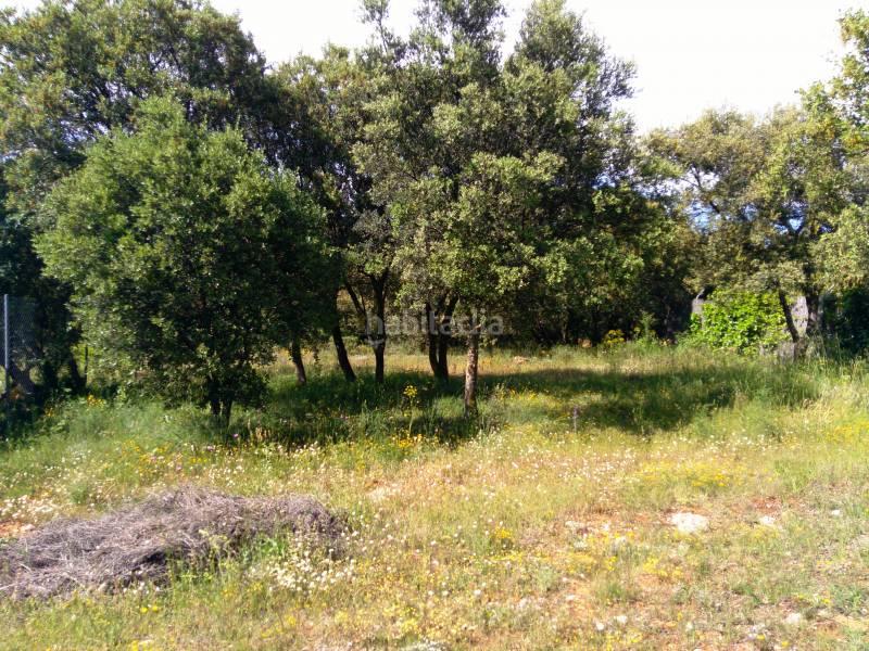 Foto 35c493bb-4a77-4cbd-bda0-3a17e40b5dfb. Terrain résidentiel dans Pioz