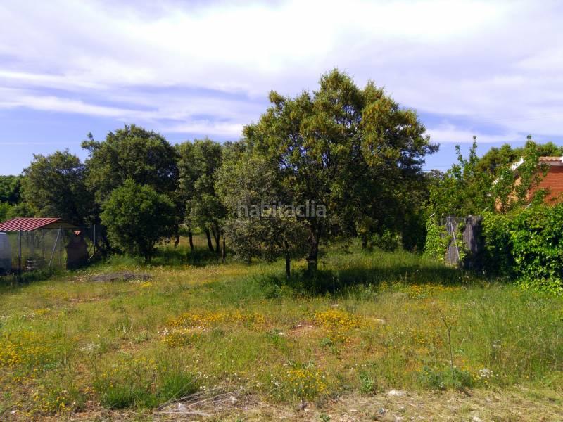 Foto 7039c70a-d5d9-4957-a79e-a6cdb017e101. Terrain résidentiel dans Pioz