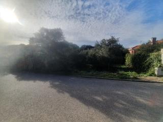 Terreny residencial a Pioz. Gran oportunidad parcela en pioz 600m2 complentamente llana, urb