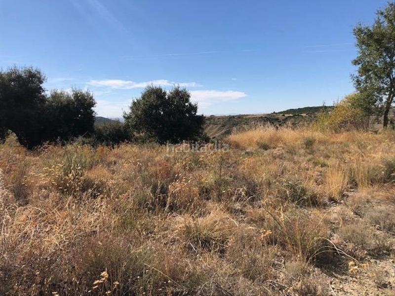 Foto a23443ec-26f6-4d66-8b30-82bd7a1a41a4. Terreno residencial espectacular parcela en El Robledal !! en Villalbilla