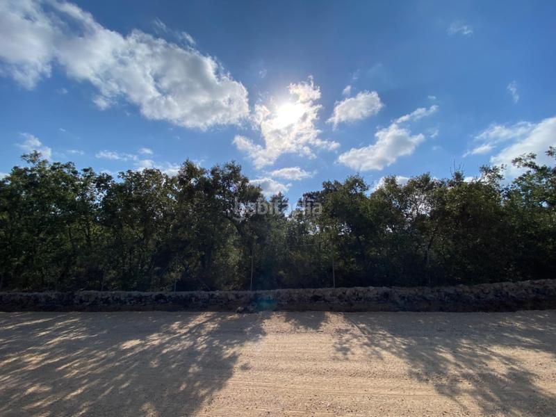 Foto 4825f427-4c7d-42ae-bbfc-99dd29e53141. Chalet con riscaldamento in Loranca de Tajuña