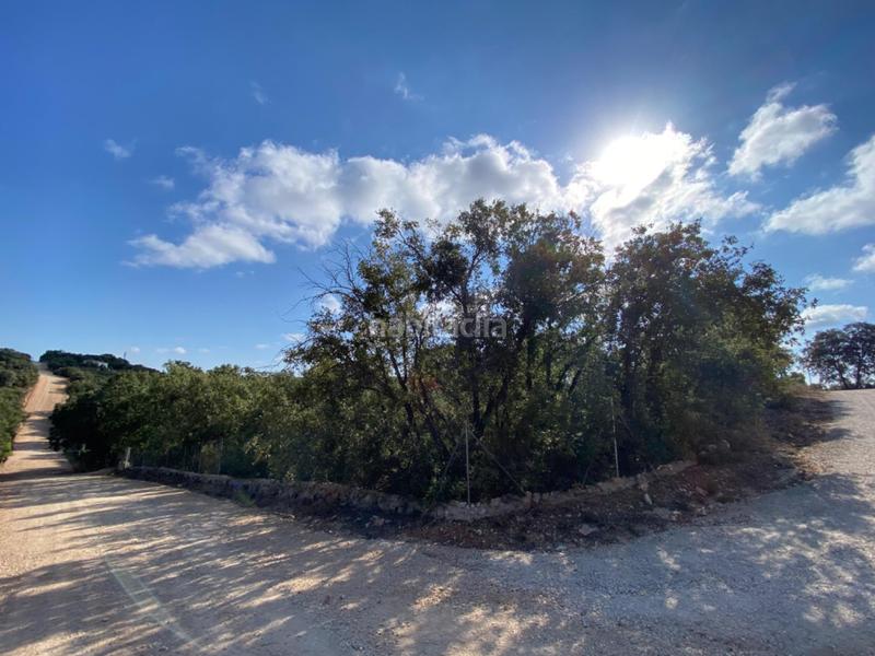 Foto 670a206b-9165-468b-a40d-b1643867485e. Chalet con riscaldamento in Loranca de Tajuña