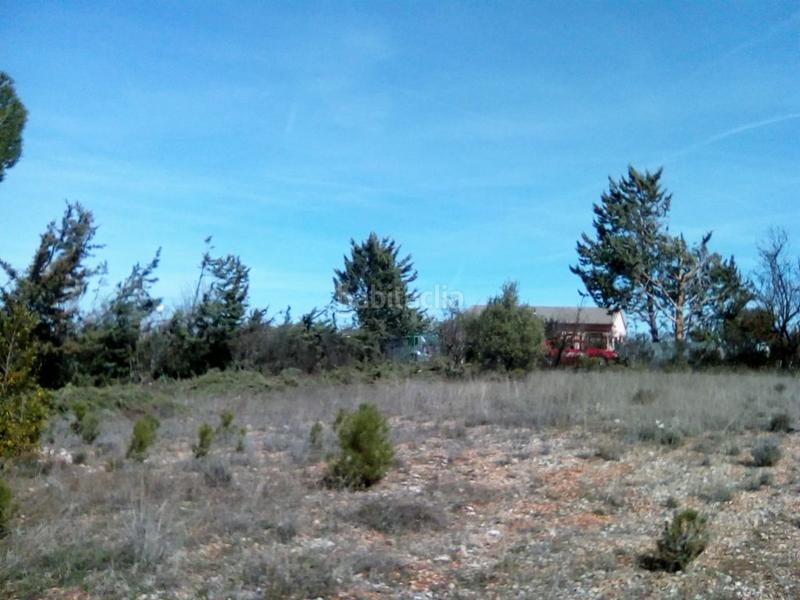 Foto 8bc7ecb0-922c-403a-92a8-f6dc75242d3a. Wohngrundstück in Hontoba