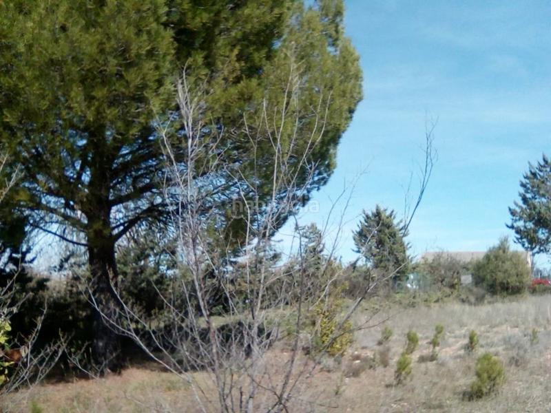 Foto 907f4c2c-ab06-424b-a90e-8fc6447052cf. Wohngrundstück in Hontoba