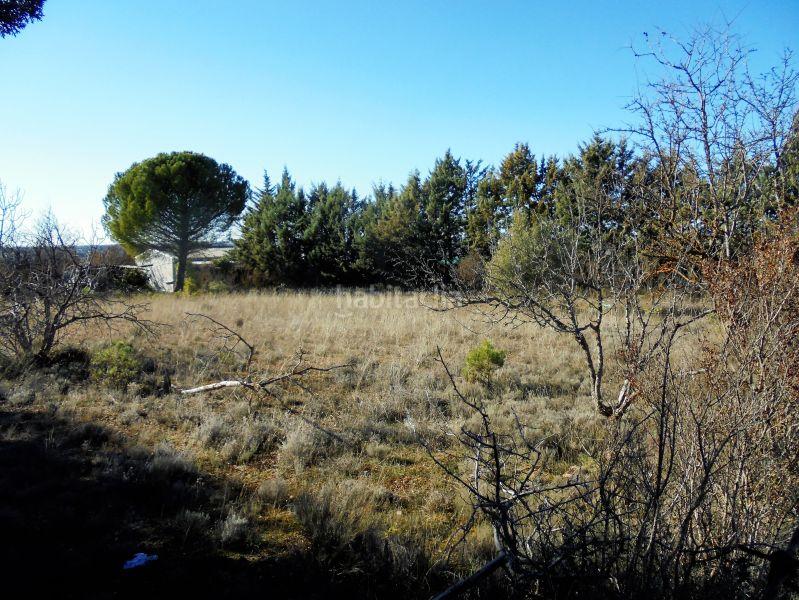 Foto 986ee434-4d35-47c8-b7fa-531e32267a23. Wohngrundstück in Hontoba