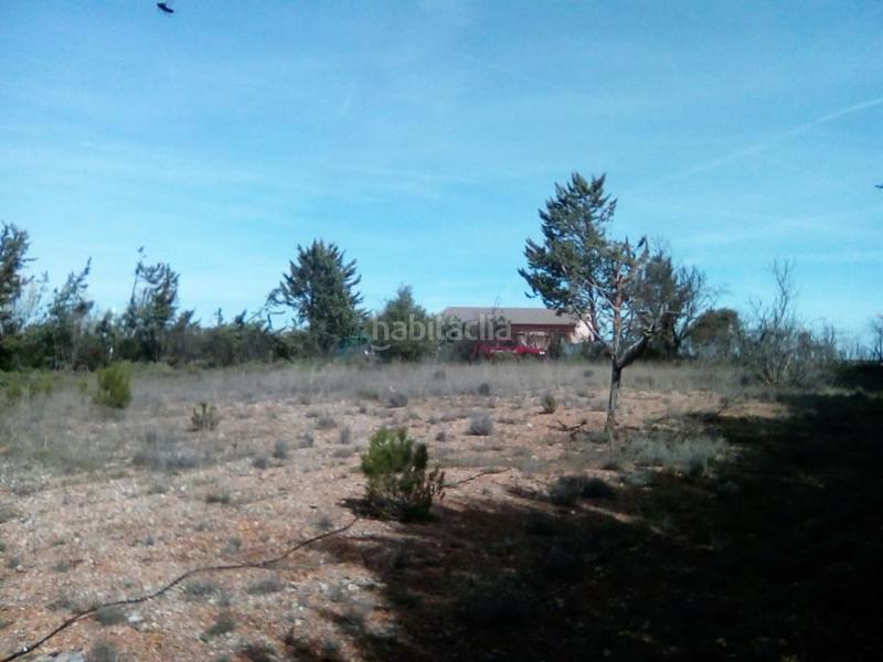 Foto aeee177b-ee93-4985-9357-2945eaf480ee. Wohngrundstück in Hontoba