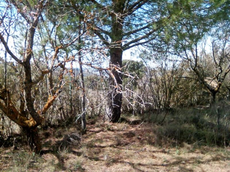 Foto bd5887de-9e07-4bbd-b386-6ff89e1ccf58. Wohngrundstück in Hontoba