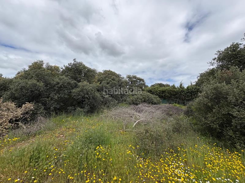 Foto 412a4da9-6400-4a14-a8ab-bf16b0e1fd7c. Terrain résidentiel dans Pioz