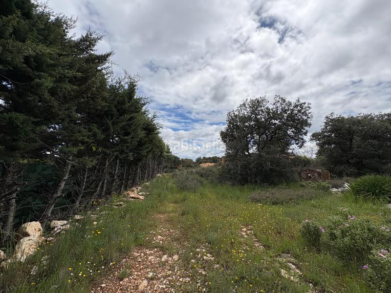 Foto 6a2b65b8-fbcf-4ee3-b1df-9b8d0f01ccb5. Terrain résidentiel dans Pioz