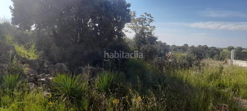 Foto 75365d2c-7176-45ee-8772-ba26c39daea6. Terrain résidentiel dans Pioz