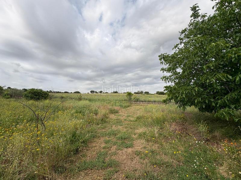 Foto 22b05ea9-705d-445b-82b5-a8c402bada79. Xalet amb calefacció piscina a Pioz