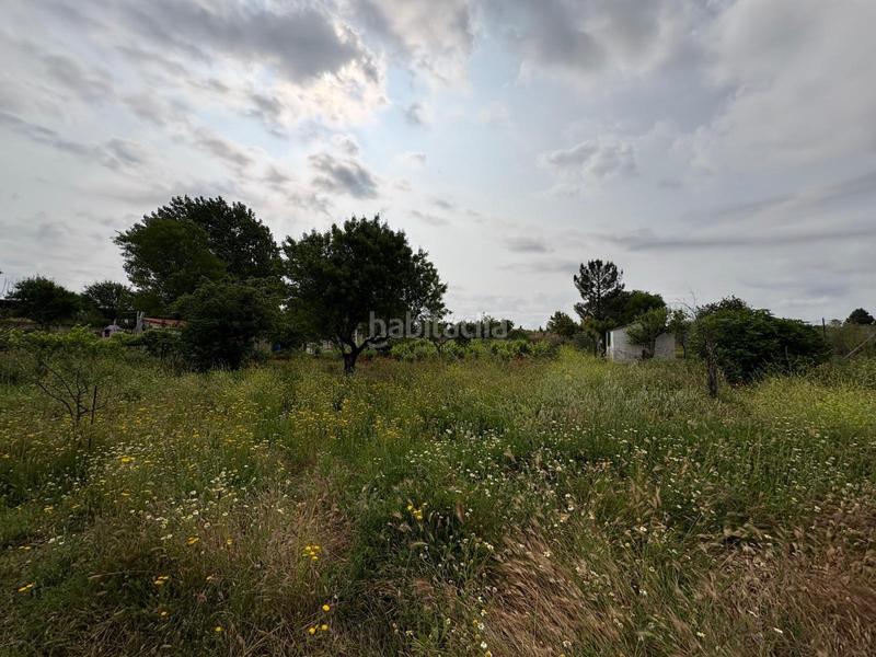 Foto 5f8427b1-c6af-4905-8e12-e3e93cbc7aa8. Xalet amb calefacció piscina a Pioz