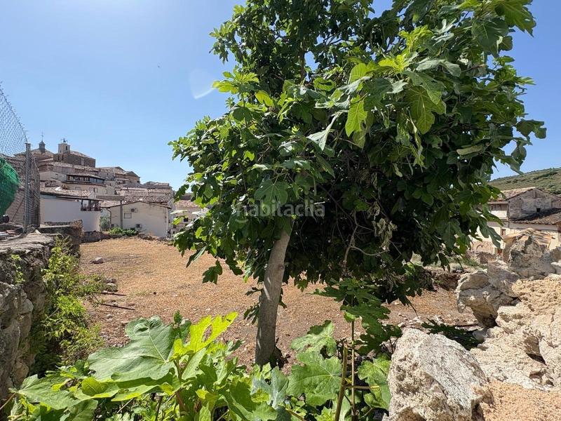 Foto e1b625c5-00bd-4816-984c-24b38f7ddae3. Terreno residencial solar urbano en Pastrana