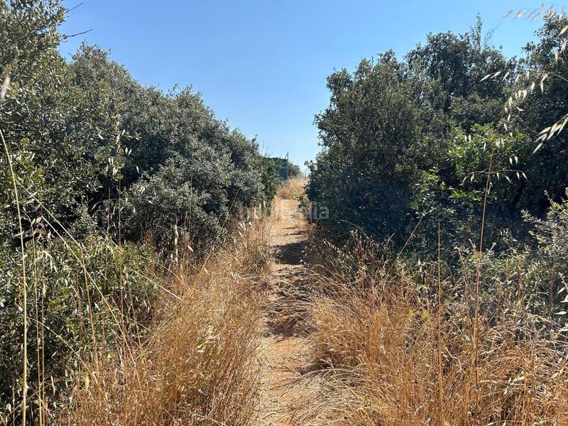 Foto 12611458-a30e-4556-b098-0a7711b88fae. Terrain résidentiel dans Pioz