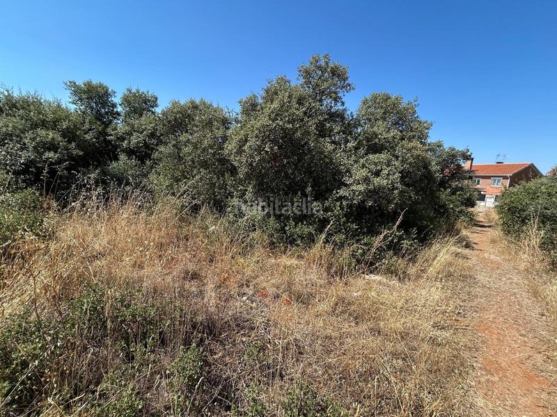 Foto 2717aa20-c02b-4f8a-a912-c941c4928da1. Terrain résidentiel dans Pioz