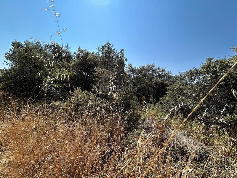 Foto 8a5e8620-2f6d-4fd7-947f-fd4bf5245d78. Terrain résidentiel dans Pioz