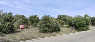 Terreno residenziale in Pioz