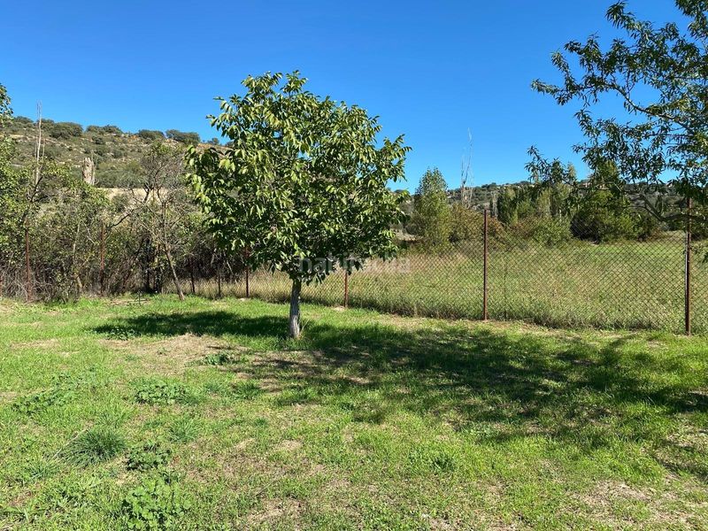 Foto 0b17a3af-bf9a-45fd-8d9c-4faeb442b178. Finca rústica a Escopete
