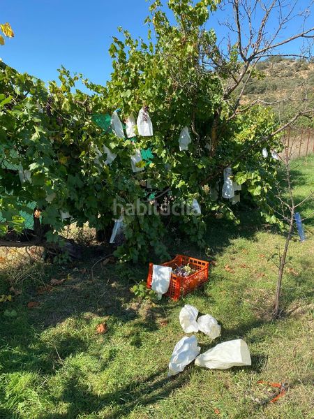 Foto 5787472d-fa1c-4a86-ab9f-b4d18e8d2bba. Finca rústica a Escopete