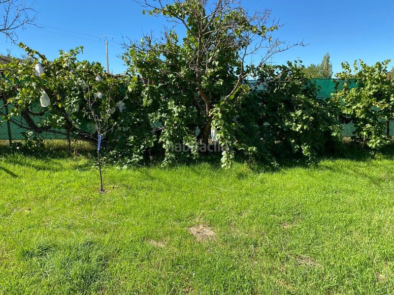 Foto 784b58d8-8121-4e48-8424-68b213bc1409. Finca rústica a Escopete
