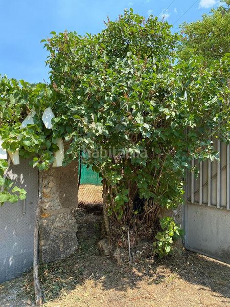 Foto 8ce689b2-87ea-4a97-9629-1600220454aa. Finca rústica a Escopete